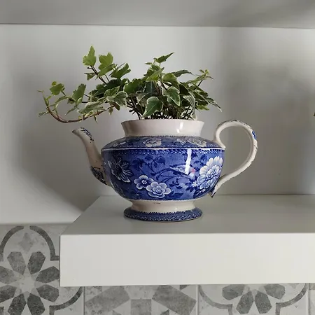 Liberty Blue House Apartment *